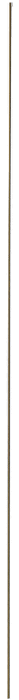 Museum Showcase System