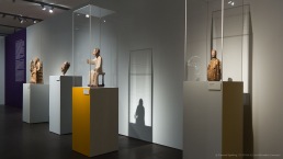 display cases for museums