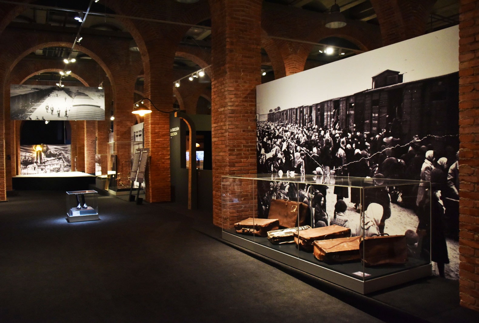 travelling exhibition showcases